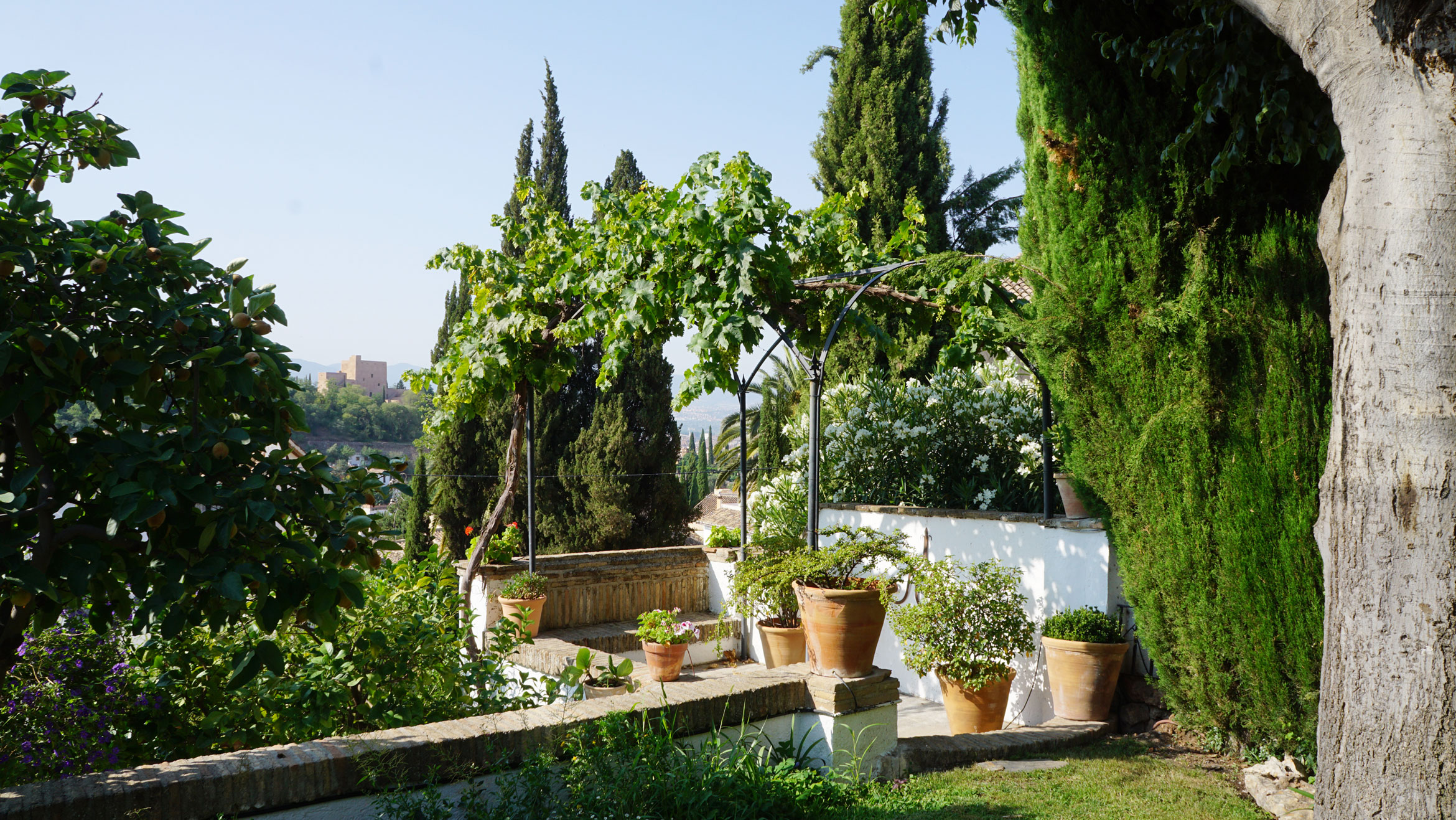 Enlace al proyecto Carmen del Cuento, Reforma de jardín en GRANADA, paisajismo por Ignacio Mauror.