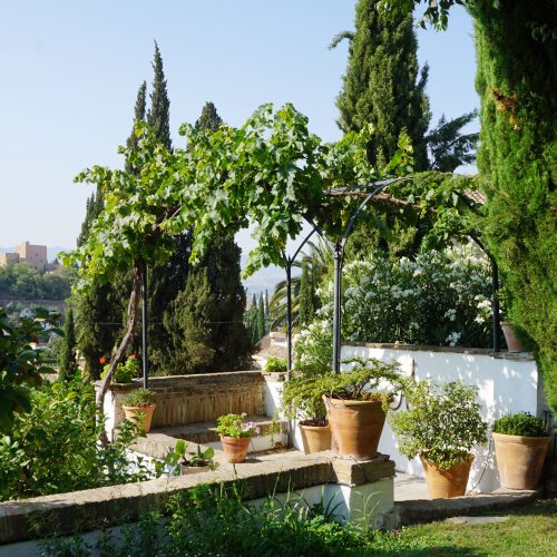 Enlace al proyecto Carmen del Cuento, Reforma de jardín en GRANADA, paisajismo por Ignacio Mauror.