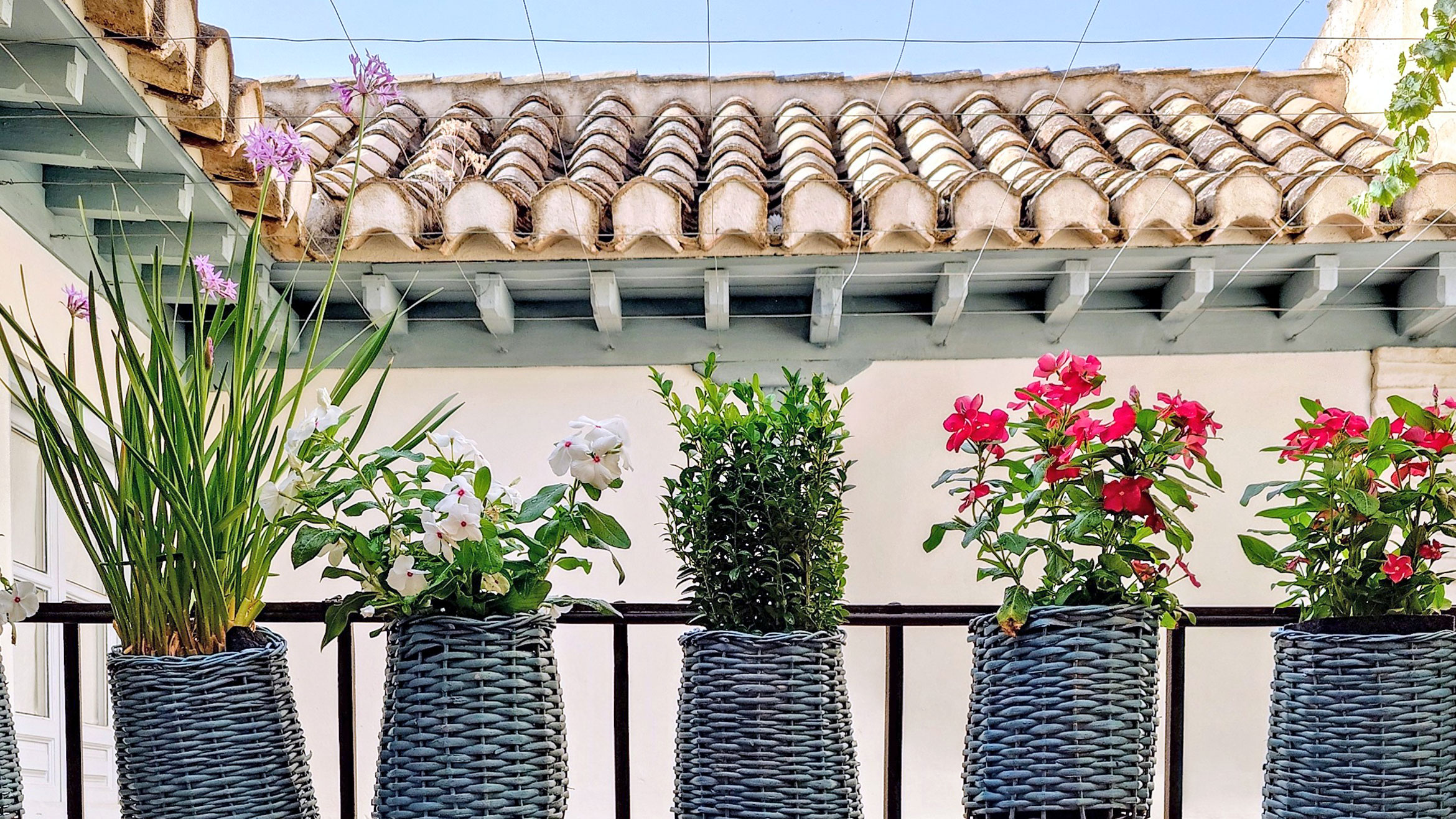 Enlace al proyecto La Casa Azul, Casa patio del Albaicín en GRANADA, paisajismo por Ignacio Mauror.